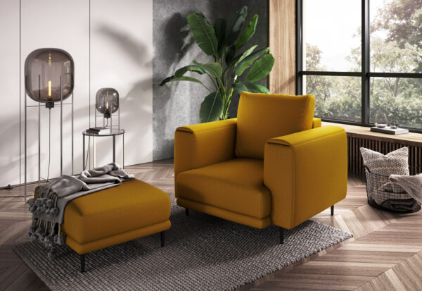 Fotelis Dalia Chairs & Recliners 3