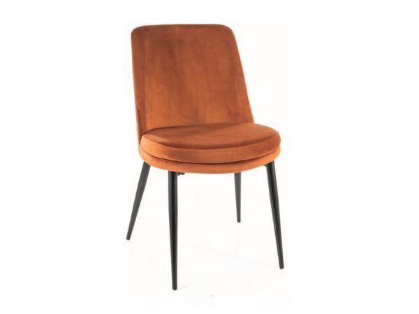 KAYLA VELVET KĖDĖ JUODAS RĖMAS / CINNAMON BLUVEL 4215 Kėdės 2 3