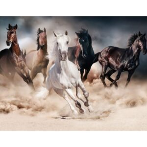 OBRAZ HORSES 120X80