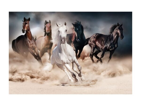 OBRAZ HORSES 120X80 3